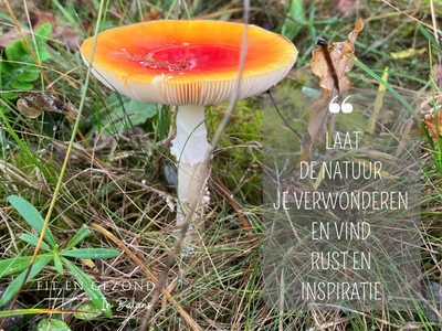 laat de natuur je verwonderen en vindt rust en inspiratie