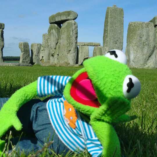 Kermit de kikker als symbool voor intuïtie en het onderbewuste